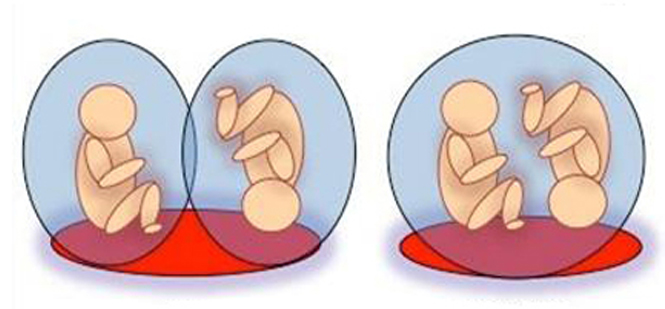Monochorionic means one placenta