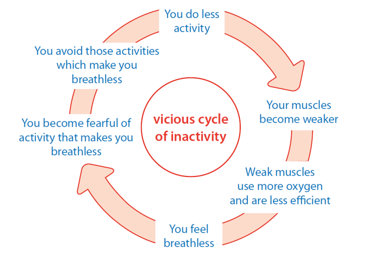 Vicious cycle of inactivity - you do less, your muscles become weaker, you feel breathless, you avoid those activities that make you breathless...