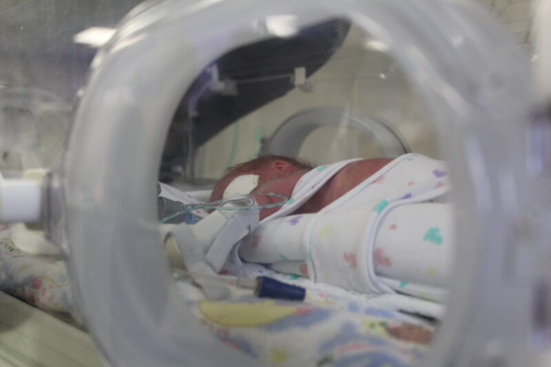 image from outside an incubator looking through port hole at a baby nursed in a nest