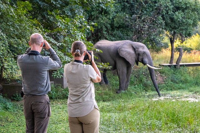 Ginny and Keith photographing elephant