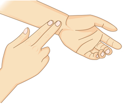 Illustration showing the first index and middle finger placed on the inside of the wrist