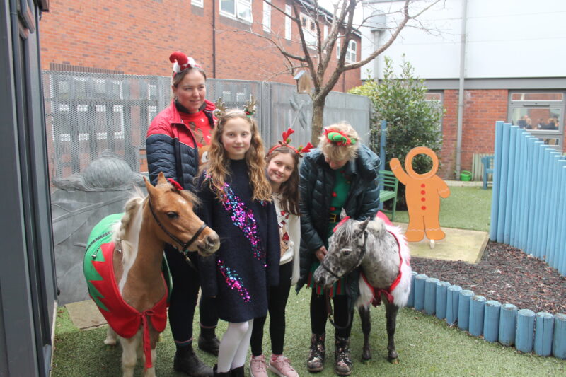 Katie Metcalf and Maxine Stephens meet miniature horses Hazel and Taz