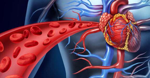 Cardio system graphic