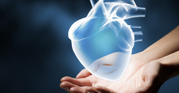 Computerised heart illustration