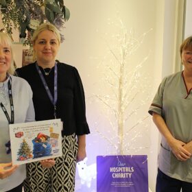 Lisa Opala, Lisa Meehan and Sharon Wilson