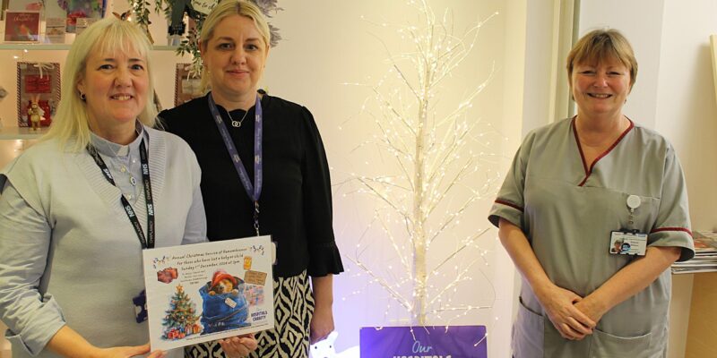 Lisa Opala, Lisa Meehan and Sharon Wilson