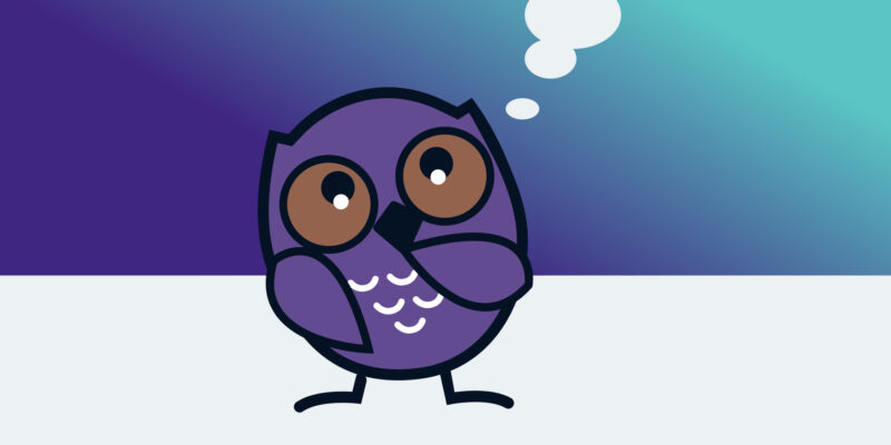 Purple owl